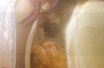 链接点错了？没事，51cg10也能给你새로운惊喜，满满的神奇和戏剧感呐！