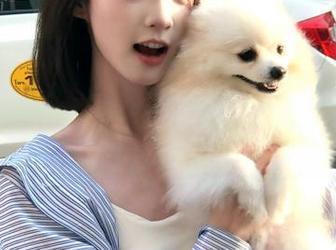 “91今日吃瓜”每日热门大瓜，准备好开启围观模式吧！