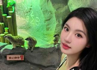 总想不配合点戏情，让我们一起观看‘明星黑料’的黑暗幽默吧！