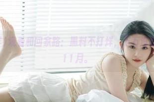 观看和回家路：黑料不打烊，万万没想到是这样的11月。